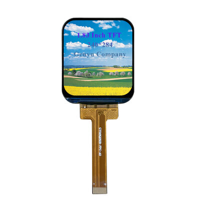 سعر جيد شاشة TFT LCD من Genyu 1.83 بوصة مع دقة 240x284 و واجهة SPI للوضوح العالي الانترنت